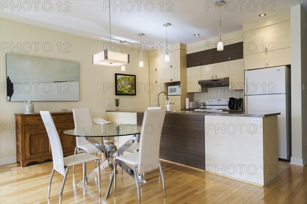 Dining room with round glass table, white leather high -back chairs and kitchen inside a renovated ground floor apartment in an old residential cottage style home, Quebec, Canada, North America