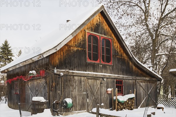 Old wooden rustic barn with red trimmed windows and Christmas decorations in winter, Quebec, Canada, North America