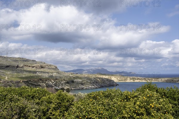 Coastal landscape near Lindos, Rhodes, Dodecanese archipelago, Greek Islands, Greece, Europe