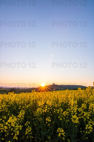 Landscape at sunrise. Beautiful morning landscape with fresh yellow rape fields in spring. Small castle in the yellow fields on a hill. Historic Ronneburg Castle in the middle of nature, Ronneburg, Hesse, Germany, Europe