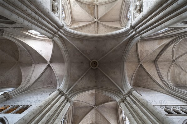 13th century central vault, Notre Dame de l'Assomption Cathedral, Lucon, Vendee, France, Europe