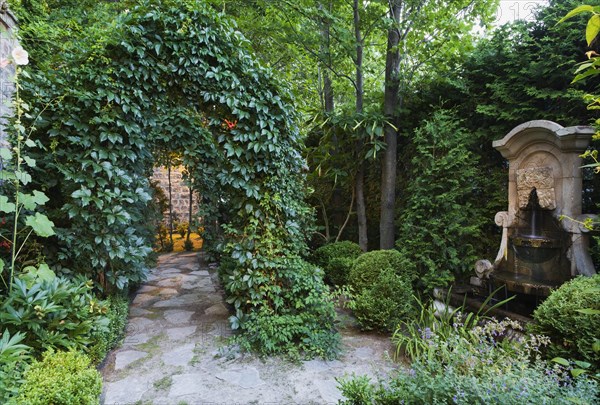 Grey flagstone path through arbour covered with climbing Vitis, Vines, Renaissance style water fountain in backyard garden at dusk in summer, Quebec, Canada, North America