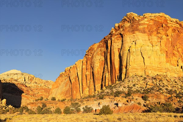 Sandstone formations at EPH Hanks Tower in the evening light, Capitol Reef National Park, Utah, USA, Capitol Reef National Park, Utah, USA, North America