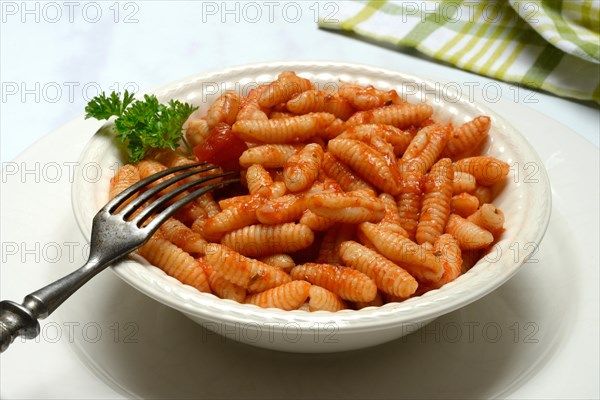 Malloreddus, Sardinian gnocchetti with tomato sauce in a plate, traditional pasta variety from Sardinia, Italy, Europe