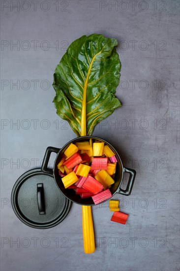 Chard, leaf and chopped stems in pots, Beta vulgaris