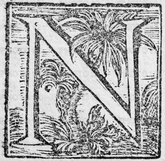 Initial or an initial N, decorative initial letter, woodcut, Mark Catesby, Natural History of Carolina, Florida and the Bahama Islands, 1754