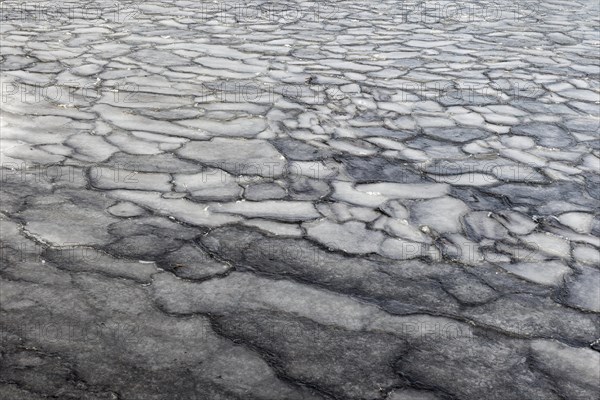 Winter, ice pattern formation, Chateauguay River, Province of Quebec, Canada, North America