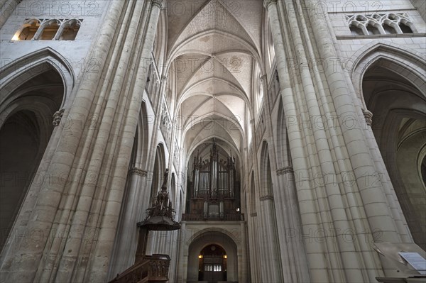 Nave from the 13th century, with pulpit and organ loft from the 19th century, Notre Dame de l'Assomption Cathedral, Lucon, Vendee, France, Europe