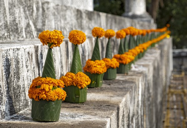 Orange-colored marigold flowers used to pay respect and homage to Buddha, Wat Wisunarat temple, Luang Prabang, Laos, Asia