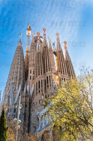 Towers of the Sagrada Familia basilica under construction, Roman Catholic basilica by Antoni Gaudi in Barcelona, Spain, Europe