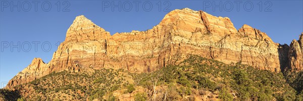 Watchman Mountain, Zion National Park, Colorado Plateau, Utah, USA, Zion National Park, Utah, USA, North America