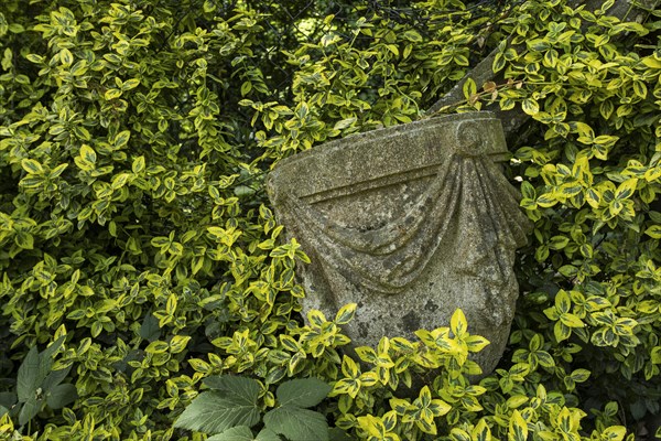 Ancient stonework building element overgrown by a hedge