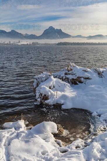 Lake Hopfensee in winter, East Allgaeu, Swabia, Germany, East Allgaeu, Lake Hopfensee, Bavaria, Germany, Europe