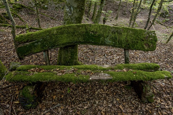 Weathered, rotten and mossy bench made of rough wooden planks, autumn leaves, beech forest, Raumertswald, volcano, Vogelsberg Volcano Region nature park Park, rest area, Nidda, Wetterau, Hesse, Germany, Europe