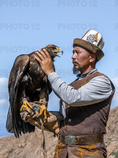 Traditional Kyrgyz eagle hunter with eagle in the mountains, hunting, near Bokonbayevo, Issyk Kul region, Kyrgyzstan, Asia