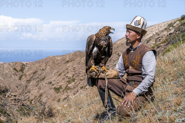 Traditional Kyrgyz eagle hunter with eagle in the mountains, hunting, near Bokonbayevo, Issyk Kul region, Kyrgyzstan, Asia