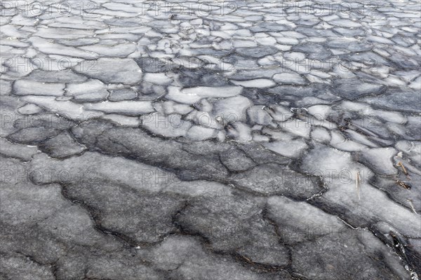 Winter, ice pattern formation, Chateauguay River, Province of Quebec, Canada, North America