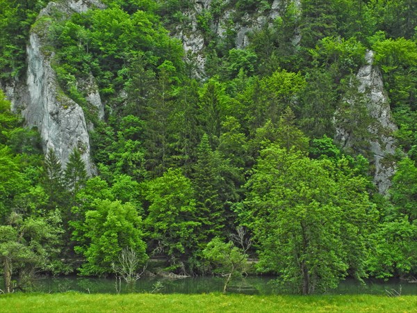 Upper Danube, nature park, Tuttlingen district, Baden-Wuerttemberg, Germany, Europe