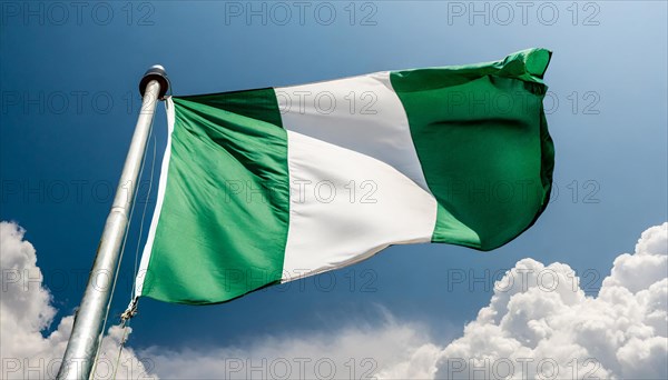 The flag of Nigeria flutters in the wind, isolated against a blue sky