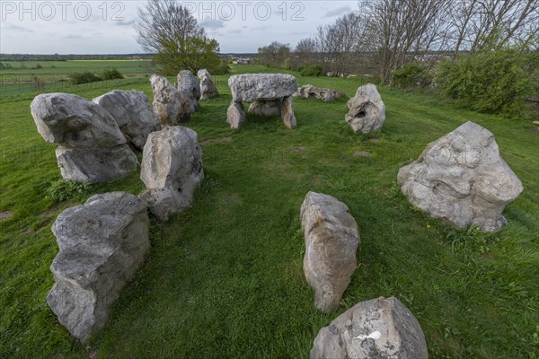 Luebbensteine, two megalithic tombs from the Neolithic period around 3500 BC on the Annenberg near Helmstedt, here the southern grave A (Sprockhoff no. 316), Helmstedt, Lower Saxony, Germany, Europe