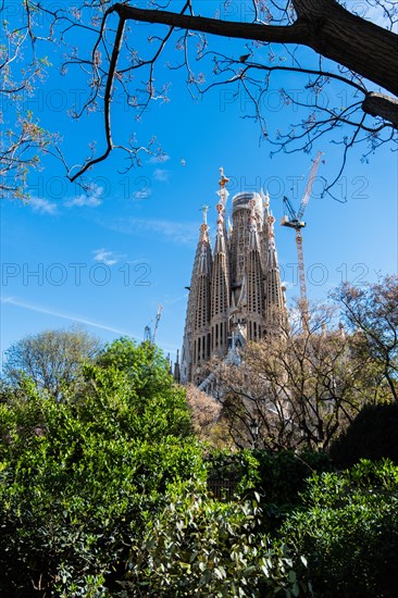 Towers of the Sagrada Familia basilica under construction, Roman Catholic basilica by Antoni Gaudi in Barcelona, Spain, Europe