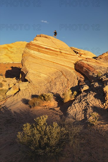 Fire Wave, Valley of Fire State Park, Nevada, United States, USA, Valley of Fire, Nevada, USA, North America