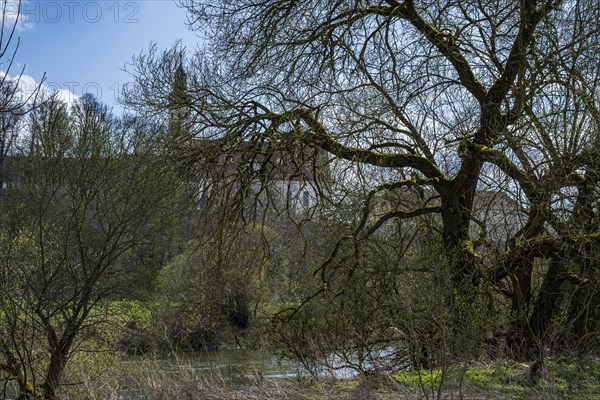 Obermarchtal Abbey, also known as the former imperial abbey of Obermarchtal, hidden behind trees on the banks of the Danube, Obermarchtal, Swabian Alb, Baden-Wuerttemberg, Germany, Europe