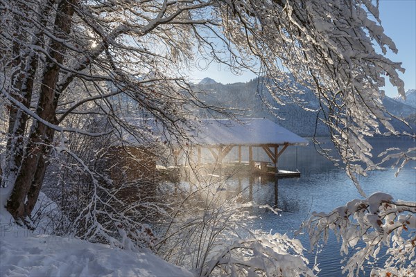 Hotel Alpenrose am Alpsee, Schwangau, Ostallgaeu, Swabia, Bavaria, Germany, Schwangau, Ostallgaeu, Bavaria, Germany, Europe