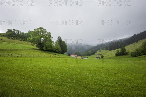 Foggy rural area in the Argental valley in Westallgaeu near Maierhoefen, Bavaria, Germany, Europe