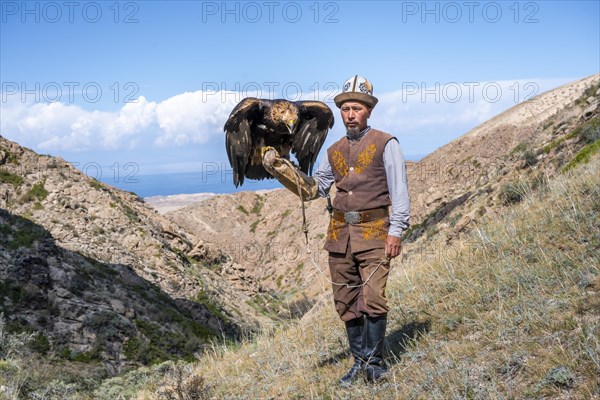 Traditional Kyrgyz eagle hunter with eagle in the mountains, hunting, near Bokonbayevo, Issyk Kul region, Kyrgyzstan, Asia