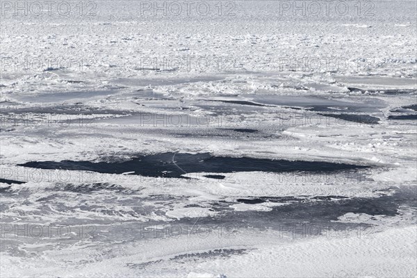 Winter, pack ice in the Saint Lawrence River, Province of Quebec, Canada, North America