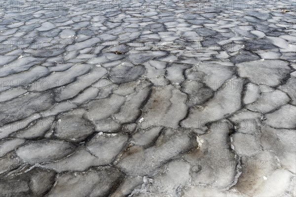 Winter, ice pattern formation, Chateauguay River, Province of Quebec, Canada, North America