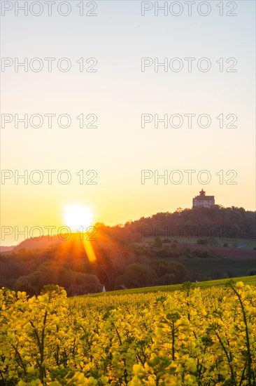 Landscape at sunrise. Beautiful morning landscape with fresh yellow rape fields in spring. Small castle in the yellow fields on a hill. Historic Ronneburg Castle in the middle of nature, Ronneburg, Hesse, Germany, Europe