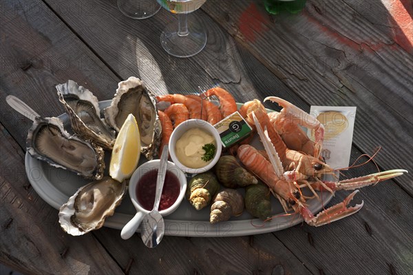 Platter with mixed seafood: Oysters, prawns, langoustines and snails, served on a rough wooden table, Atlantic coast, Vandee, France, Europe