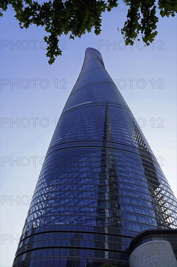 The 632 metre high Shanghai Tower, nicknamed The Twist, Shanghai, People's Republic of ChinaThe glass facade of a modern skyscraper, partially framed by leaves, Shanghai, China, Asia