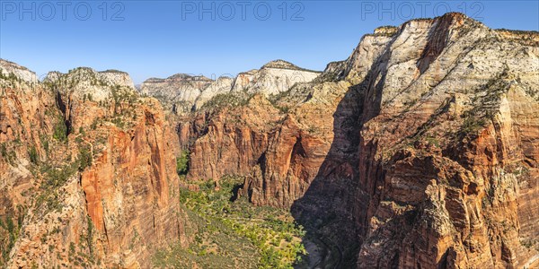View of Zion Canyon from Angels Landing, Zion National Park, Colorado Plateau, Utah, USA, Zion National Park, Utah, USA, North America