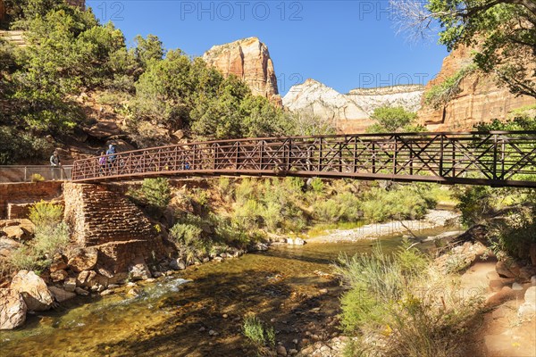 Virgin River and Angel's Landing, Zion National Park, Colorado Plateau, Utah, USA, Zion National Park, Utah, USA, North America