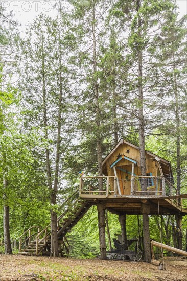 Children's playground and fancy tree house with half log stairs in residential backyard in spring, Quebec, Canada, North America