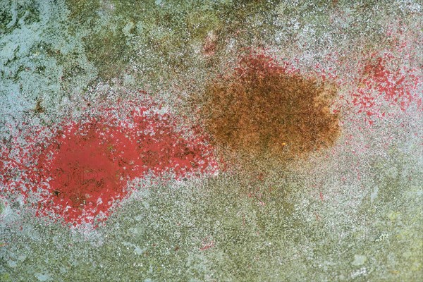 Rust and old paint on car bodywork, Kyrkoe Mosse car graveyard, Ryd, Tingsryd, Kronobergs laen, Sweden, Europe