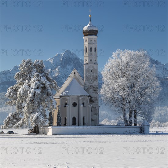 Pilgrimage church of St Coloman near Schwangau, Allgaeu, Swabia, Bavaria, Germany, Schwangau, Ostallgaeu, Bavaria, Germany, Europe