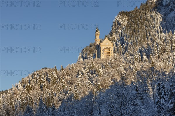 Neuschwanstein Castle, Schwangau near Fuessen, Allgaeu, Bavaria, Germany, Fuessen, Bavaria, Germany, Europe