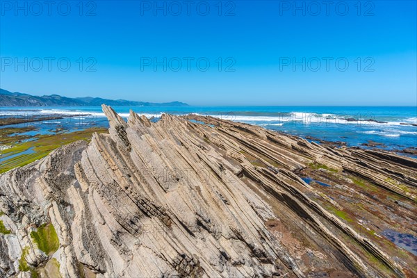 Flysch Basque Coast Geopark in Zumaia with low seas with marine vegetation, Gipuzkoa