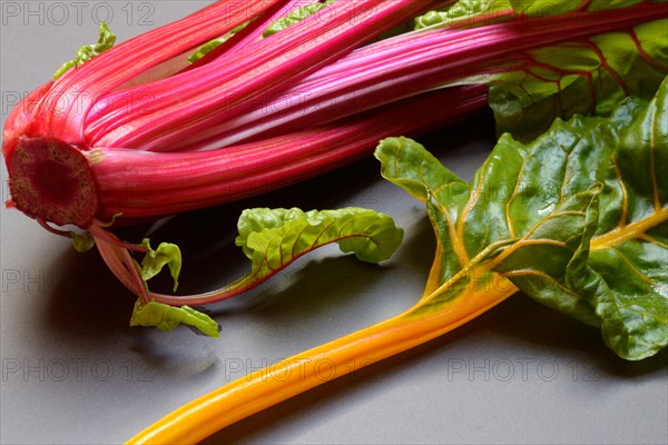 Swiss chard, Beta vulgaris