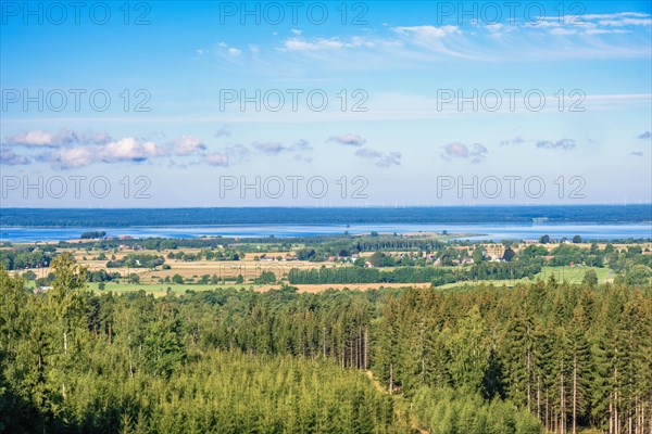 High angle view at a rural landscape with a lake in the horizon a sunny summer day, Hornborgasjon, Sweden, Europe