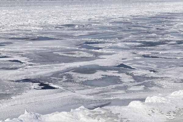 Winter, pack ice in the Saint Lawrence River, Province of Quebec, Canada, North America