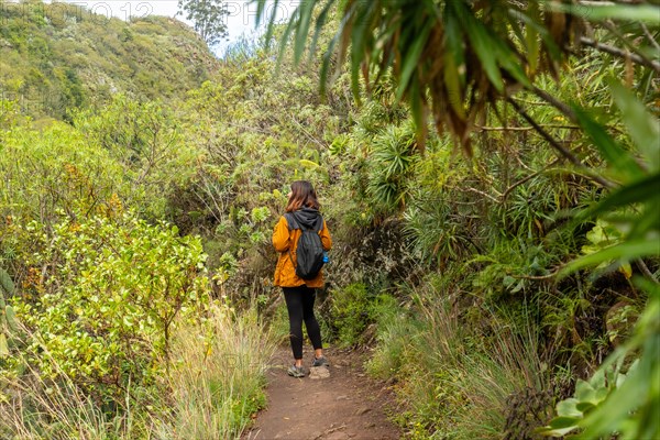 Woman walking along a beautiful path in the Laurisilva forest of Los tilos de Moya, Gran Canaria