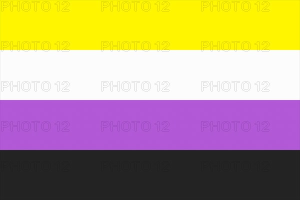 Illustration of the Non-Binary Pride Flag. Symbol of sexual minorities