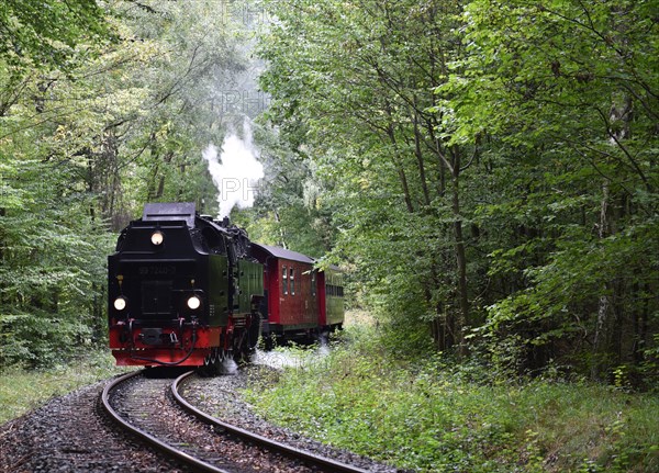 The Harz Narrow Gauge Railway, Brocken Railway, Selketal Railway in the Harz Mountains, Saxony-Anhalt, Germany, Europe