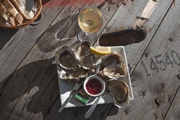 Fresh oysters with lemon and wine served on a rough wooden table, lionks fresh baguette, Atlantic coast, Vandee, France, Europe