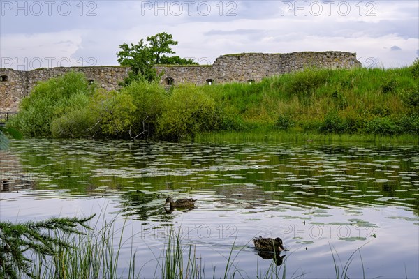 Kronoberg Castle Ruins (Kronobergs slottsruin), Vaexjoe, Smaland, Kronobergs laen, Sweden, Europe